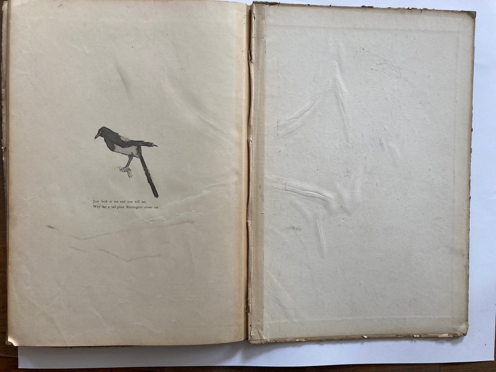 Done in the Open – Frederic Remington – 1903 P.F. Collier – Illustrated HC