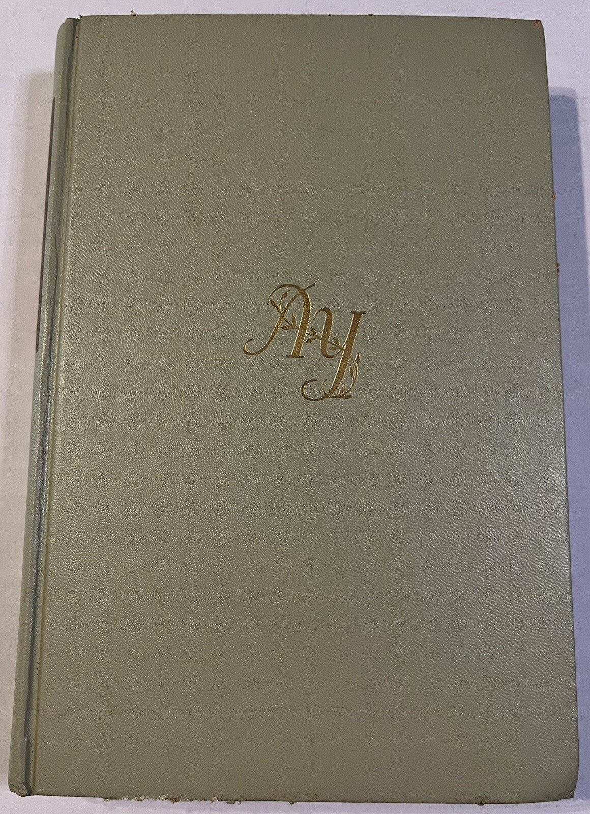 Light in the Sky by Agatha Young Hardcover W/DJ Vintage 1948 First Edition