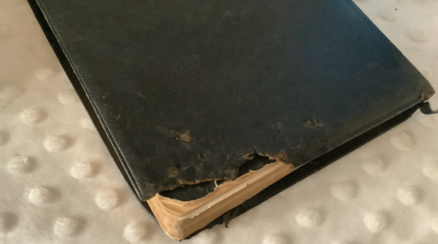 Jasper 16mo Pinseal Kangaroo leather-bound Oxford Bible