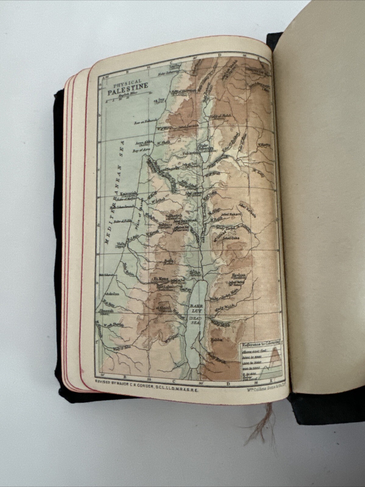 The Holy Bible Illustrated Scholars Edition Leatherette Cover Gild Edging 1920s