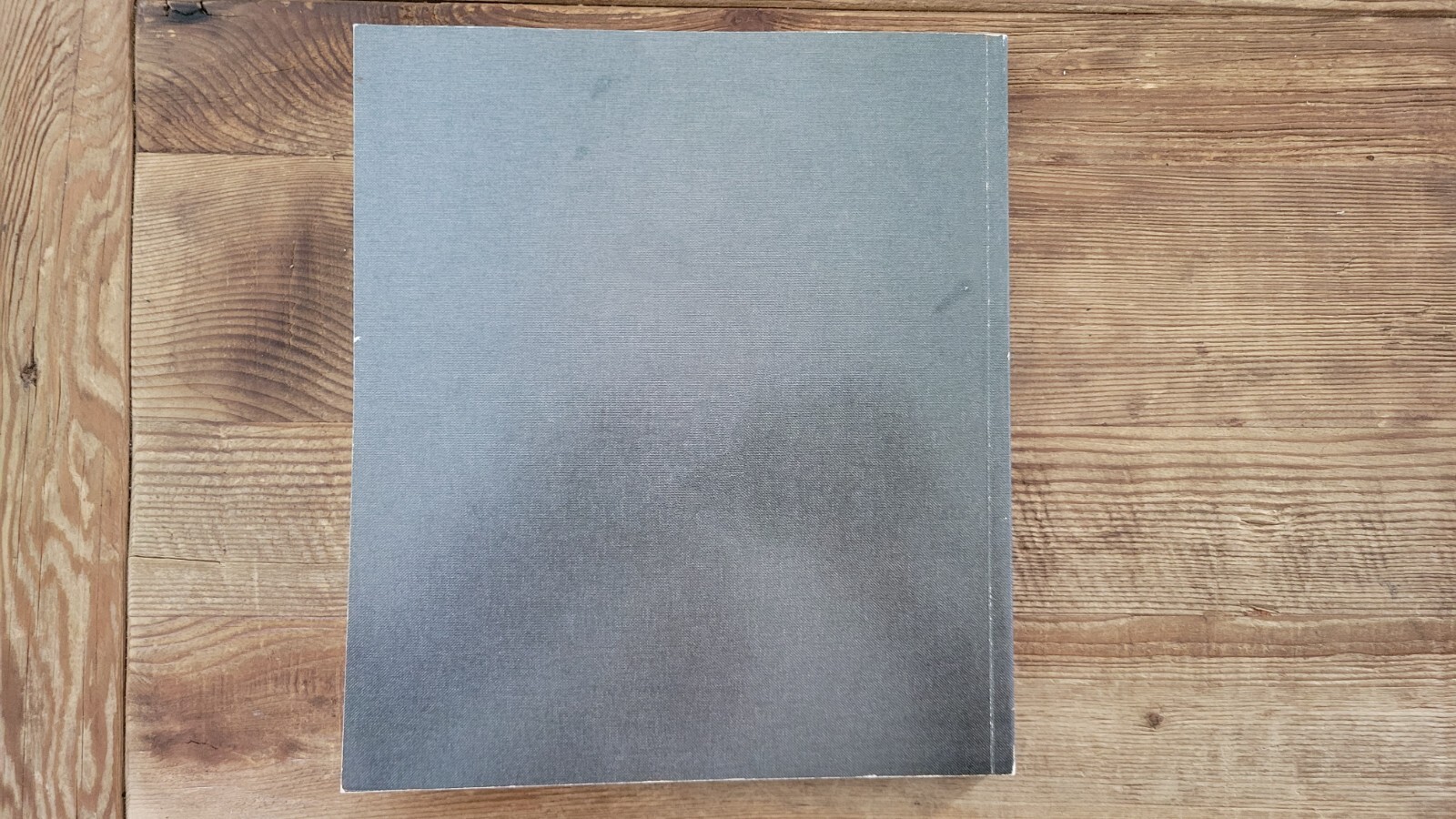 Emilio Chapela Perez, 111 Pages on 1111 (Good Condition)