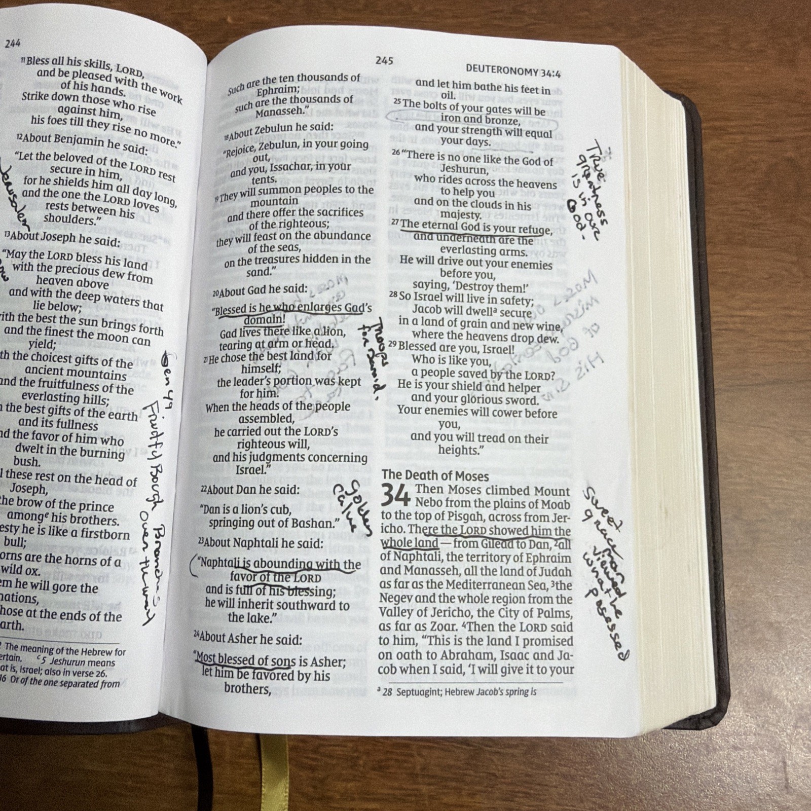 NIV Compact Bible Brown Leathersoft Red Letter 2022 Zondervan