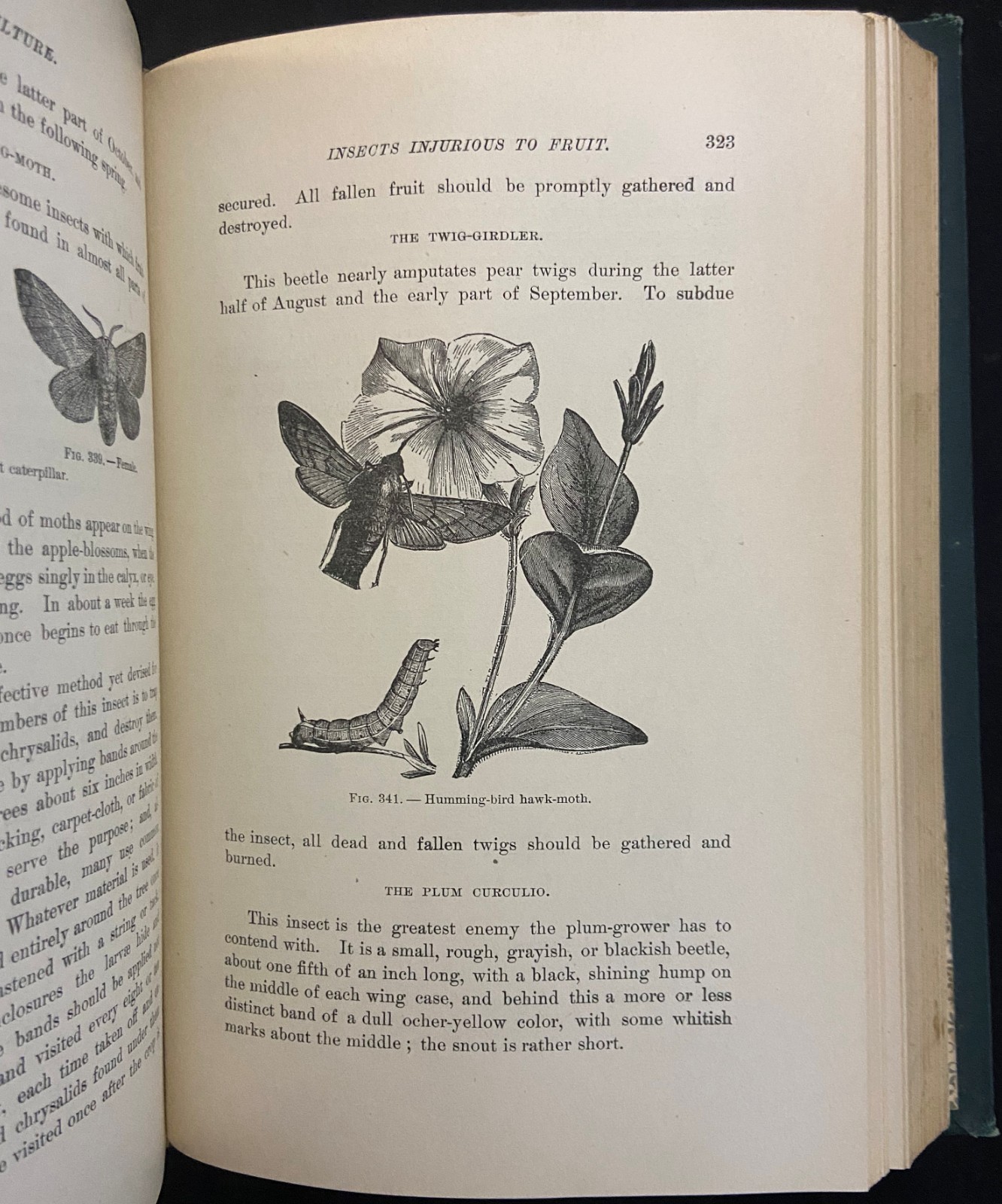 1898 THE FARMER’S ENCYCLOPEDIA Equestrian & Agriculture MAGNER Antique Farming