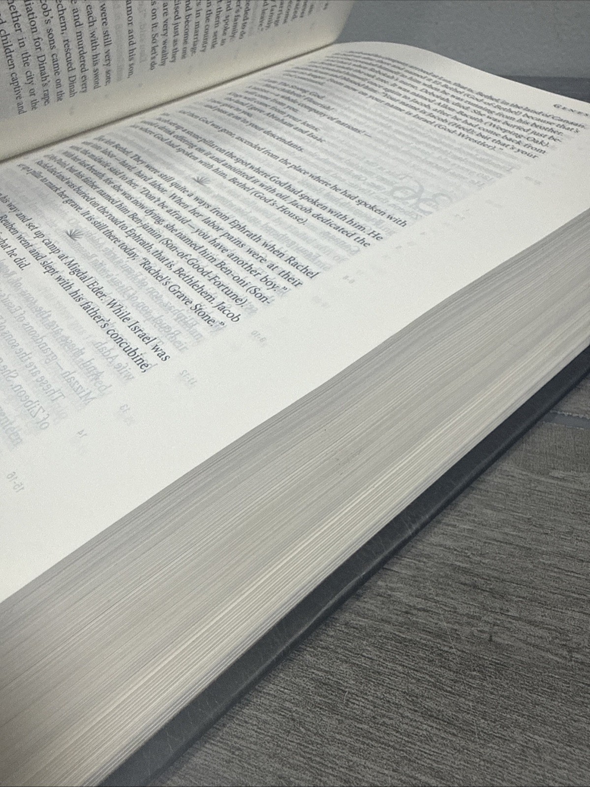 The Message Study Bible: Capturing the Notes and Reflections of Eugene Peterson