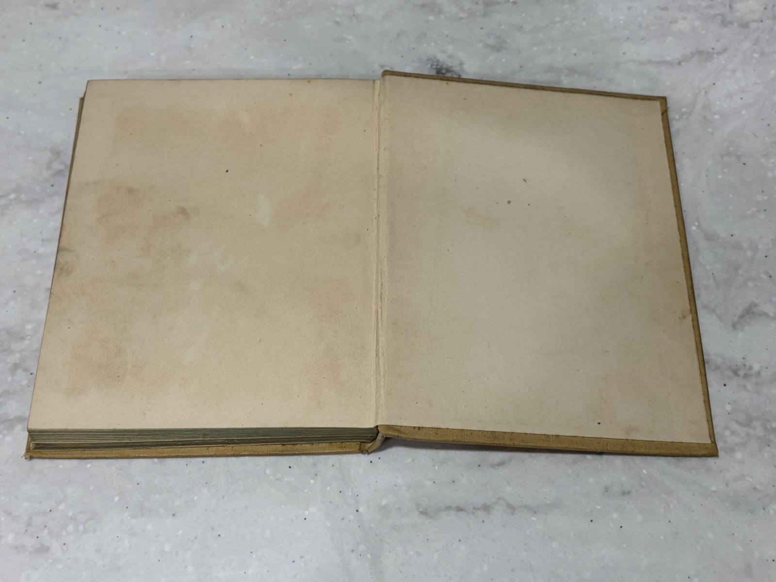 Through the Looking Glass Illustrated 1897 Antique Book Alice In Wonderland