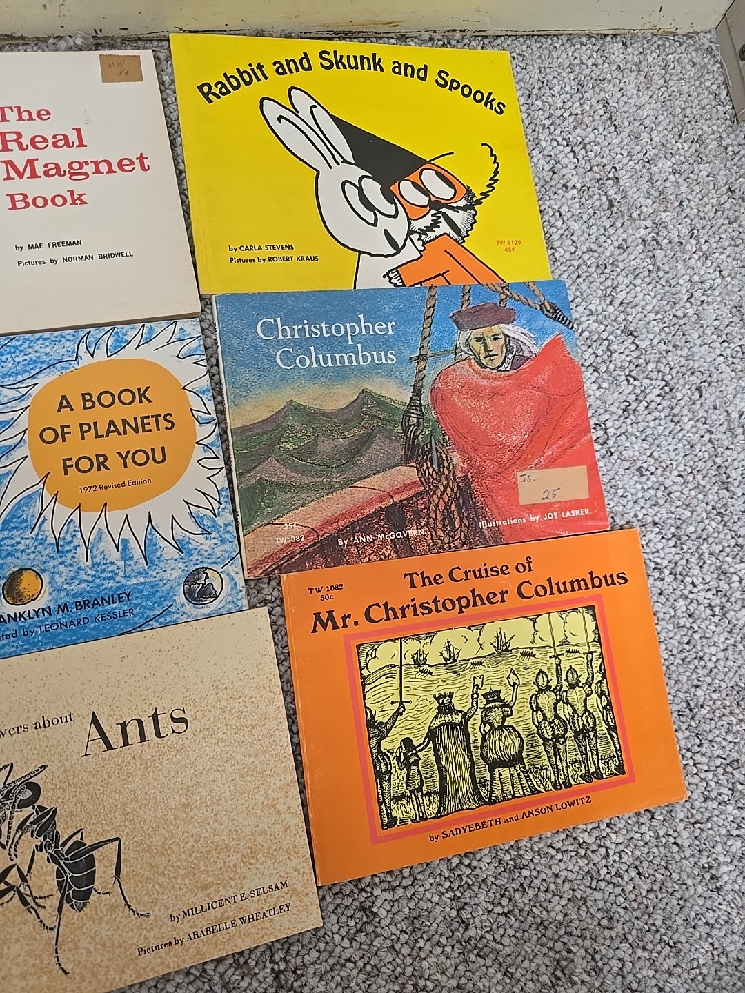 Lot of 10 Mixed Authors Runaway Slave, Congo Boy, Ants Paperback Childrens Books