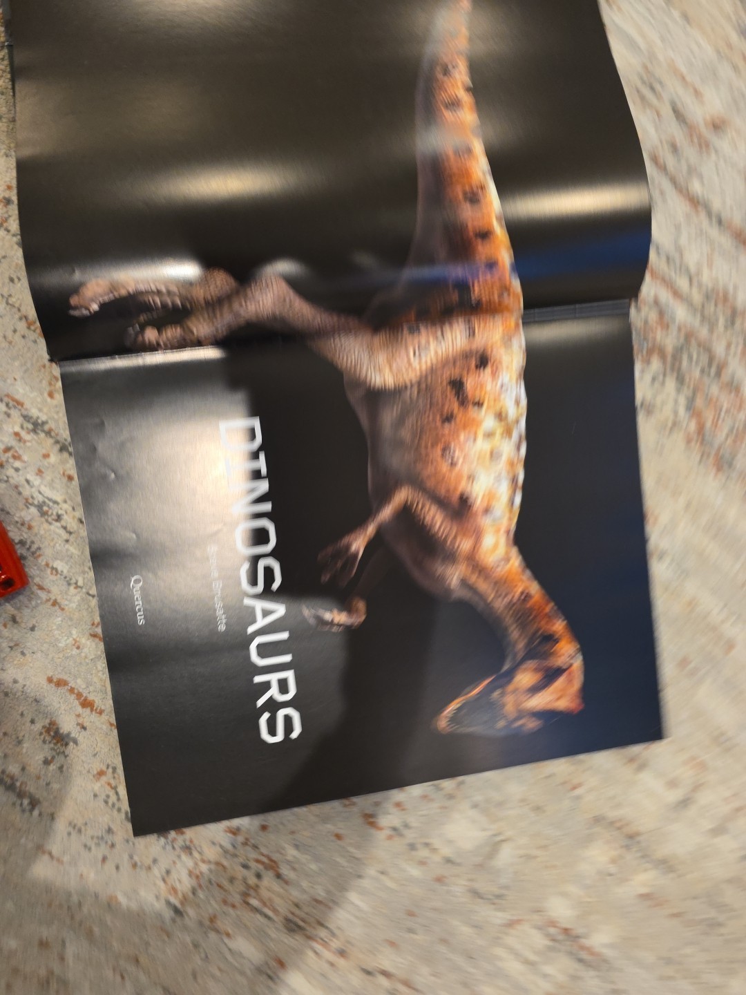 Dinosaurs by Steve Brusatte (2008, Hardcover)