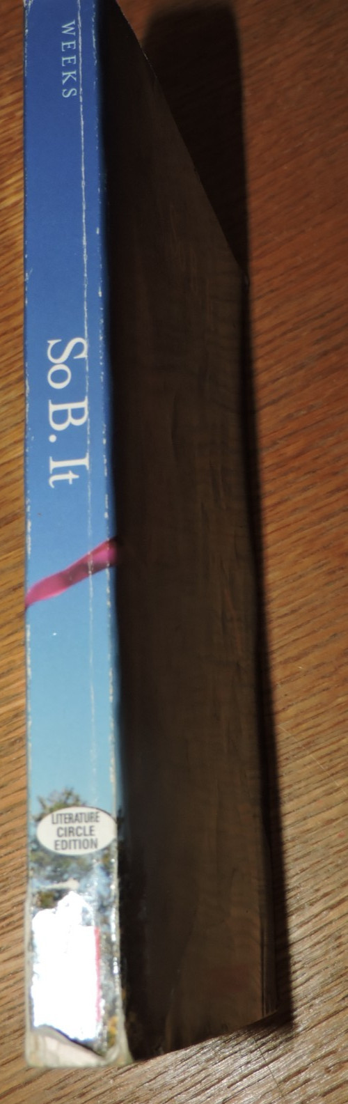 So B. It Novel by Sarah Weeks paperback 2004 243 pages