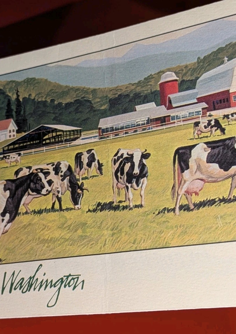 Dairying in Washington State Farming Cows Brochure Pamphlet VTG Ad