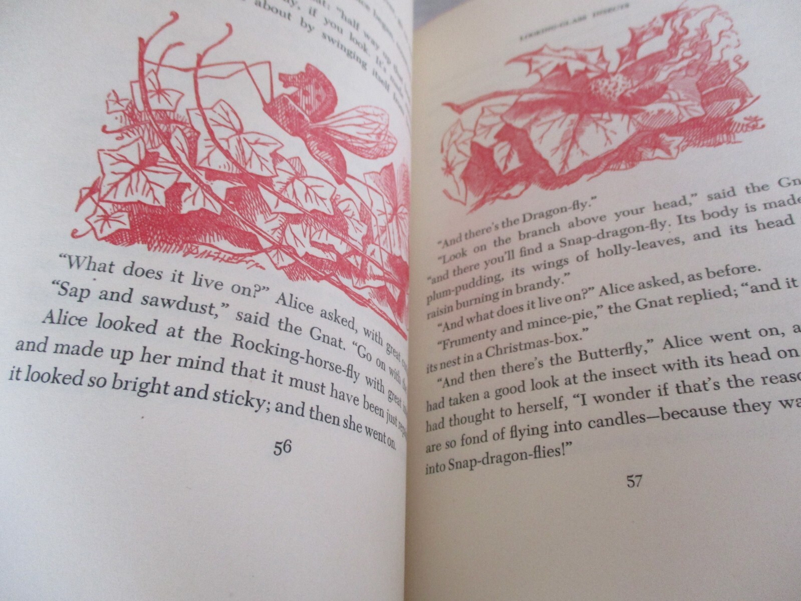 Through the Looking-Glass Lewis Carroll Junior Deluxe Editions HC Book