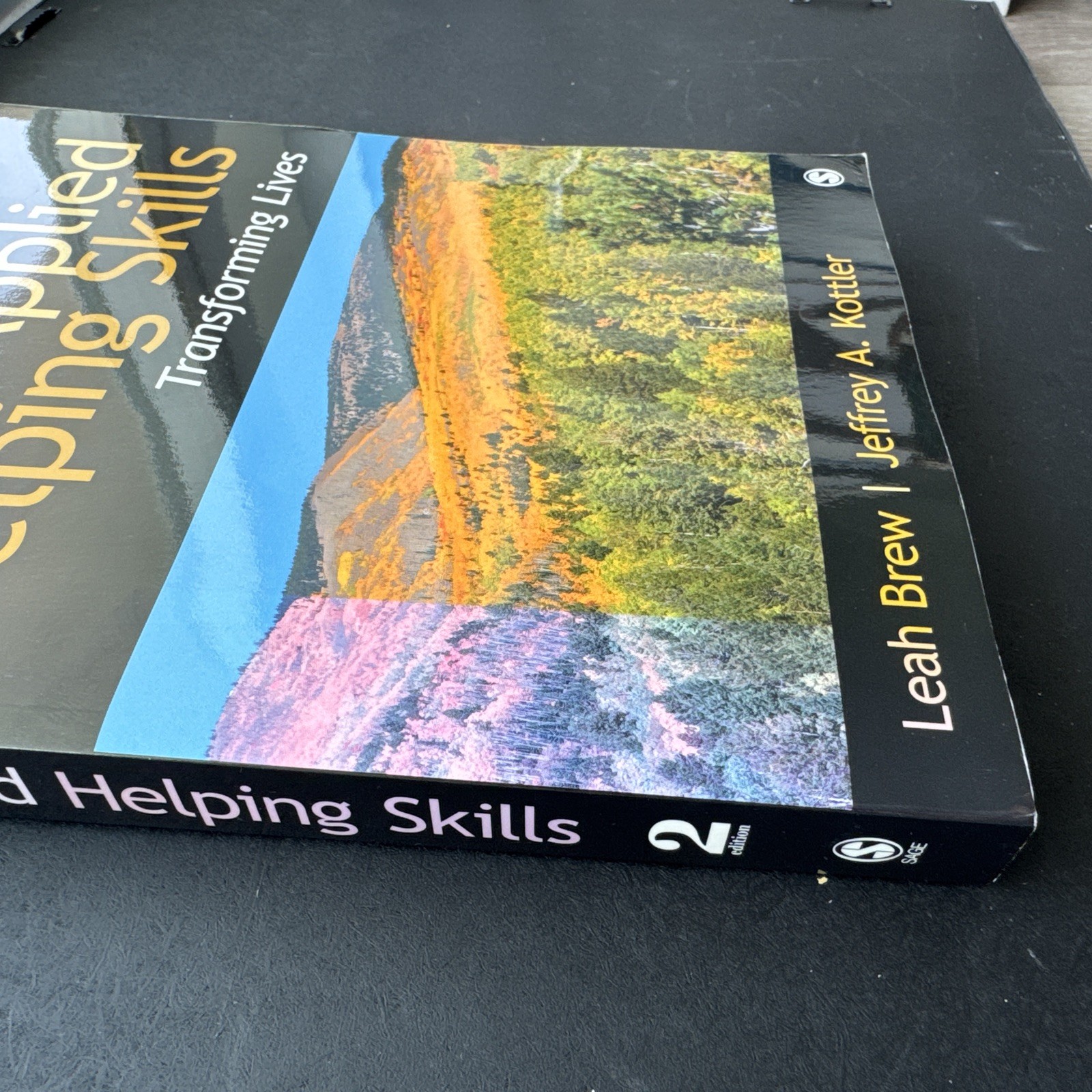 Applied Helping Skills : Transforming Lives by Jeffrey A. Kottler and Leah M….