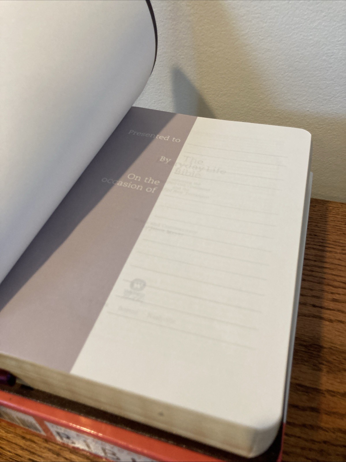 Amplified Classic 1987 AMPC Bible | Large Font, 12 point | New Life Joyce Meyer