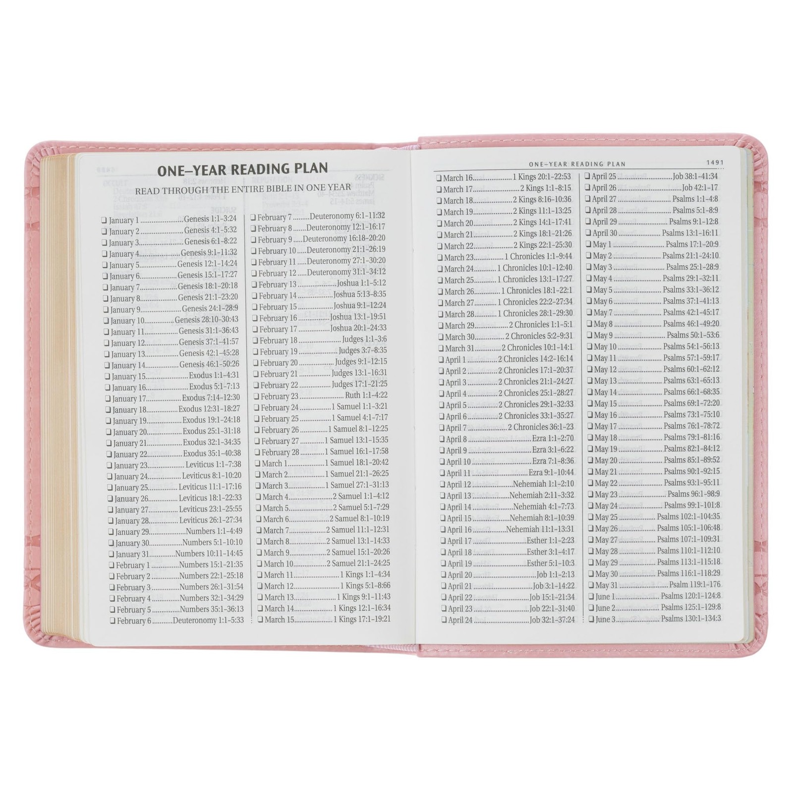 KJV Holy Bible, Compact Large Print Vegan Leather Red Letter Edition -…