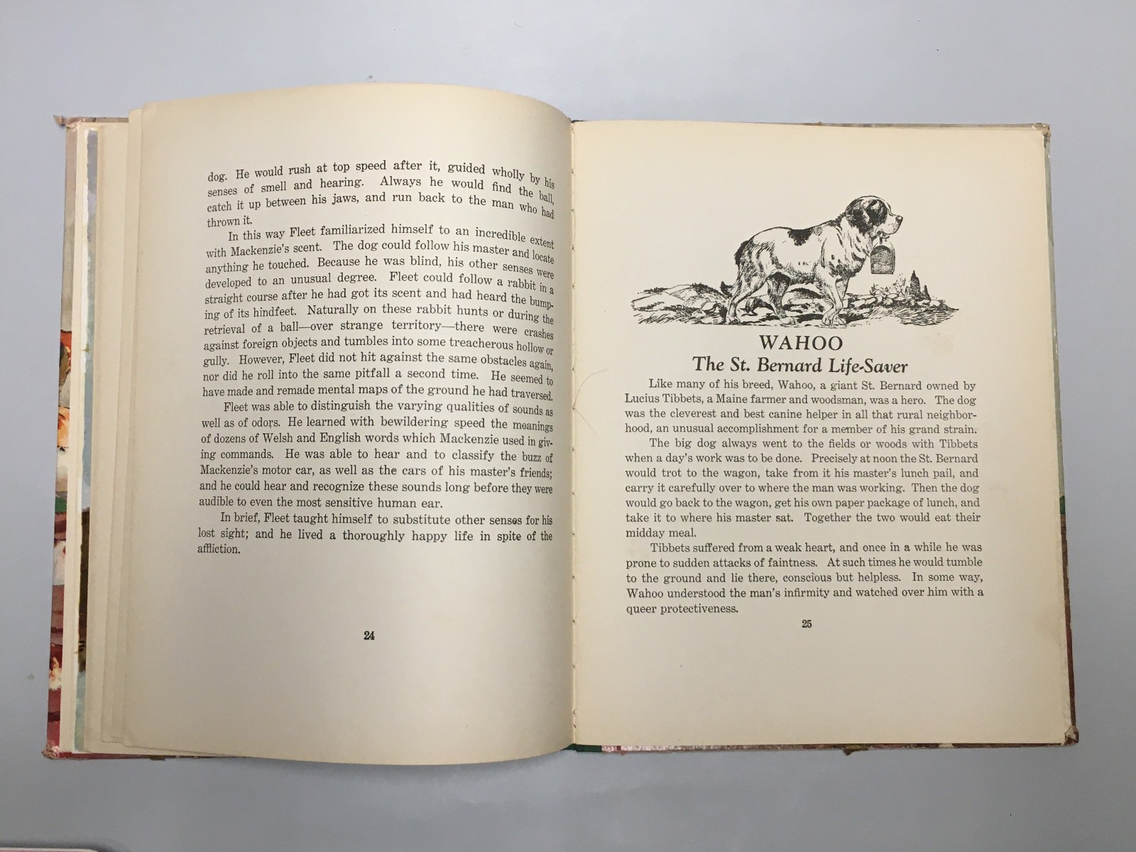 Dogs by Albert Payson Terhune & Kurt Wiese – 62 Pages Saalfield Publishing 1940