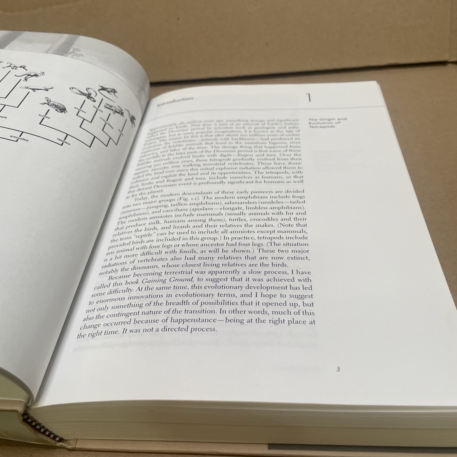 Gaining Ground: The Origin and Evolution of Tetrapods by Clack