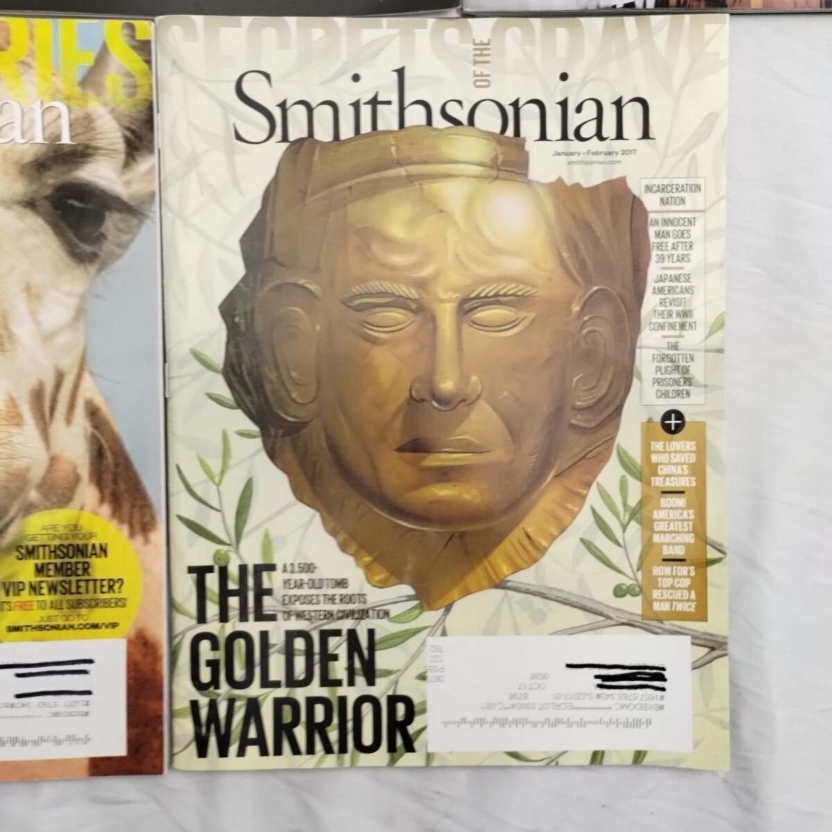 Smithsonian & Archeology Magazines Lot Of 7 2016-2023 Hacking History Pharaoh