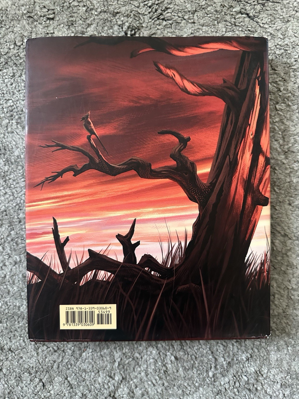 Suzanne Collins The Hunger Games Illustrated Edition Hardcover Nico Delort Art