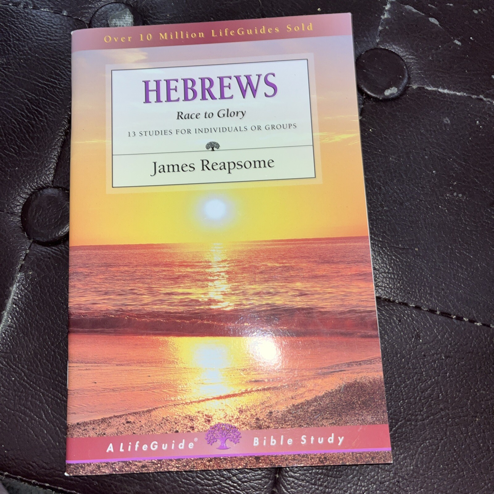 Life Guide Bible Studies – Hebrews: Race to Glory 13 Bible Studies
