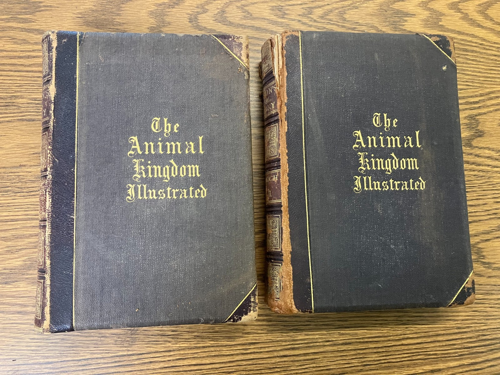 Johnson’s Natural History, Animal Kingdom, Vol. 1&2, by S. G. Goodrich, 1874