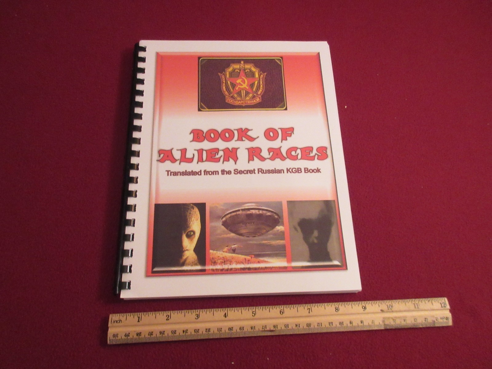 Book Of Alien Races Translated from KGB Secret Russian Book w/Pictures