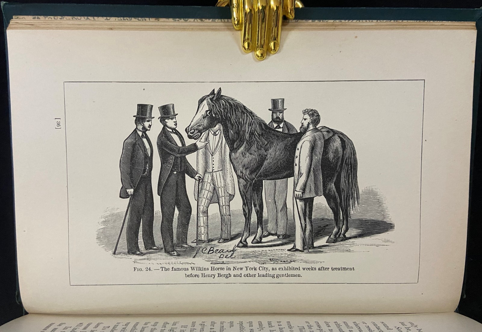 1898 THE FARMER’S ENCYCLOPEDIA Equestrian & Agriculture MAGNER Antique Farming