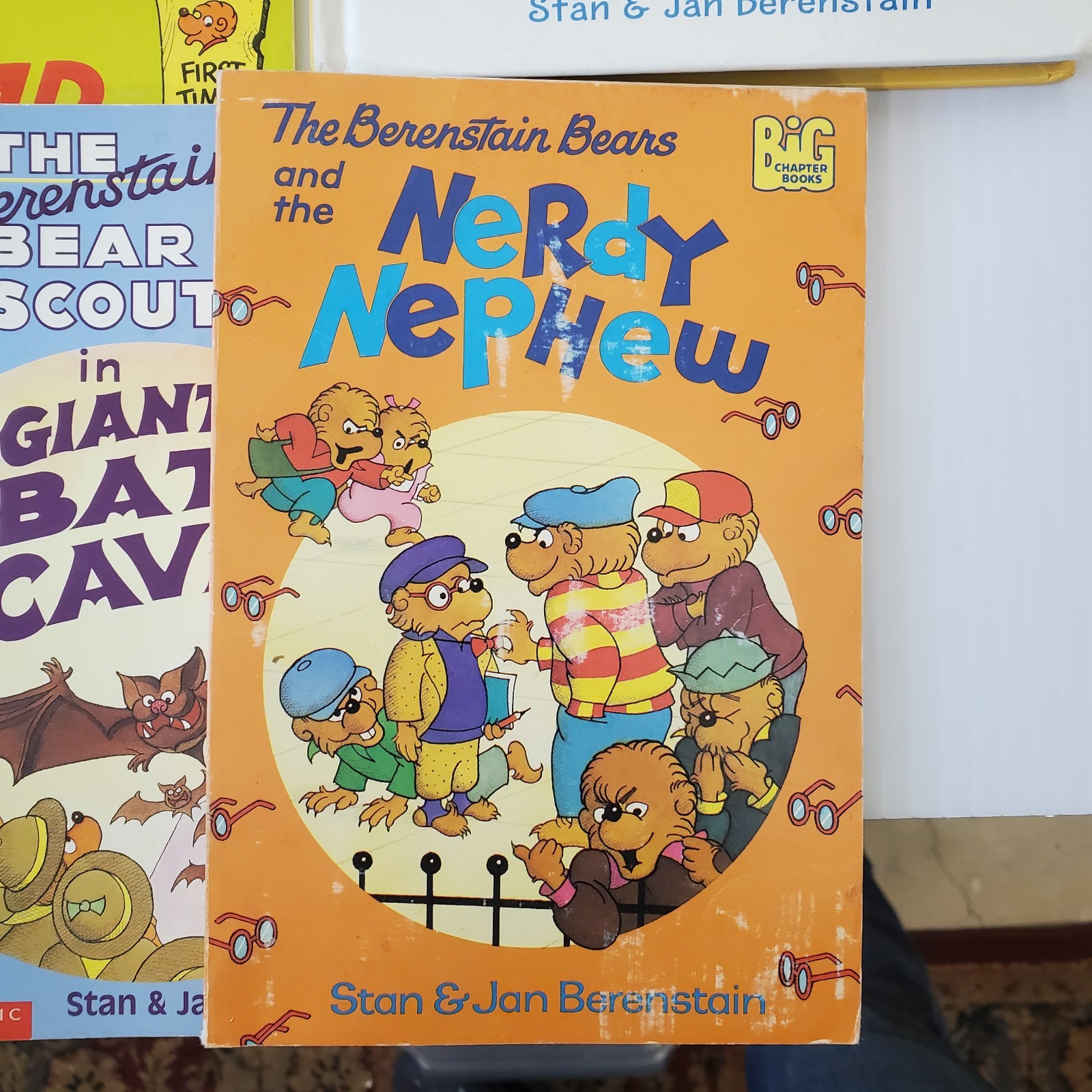 Lot of 17 Berenstain Bears Books by Stan and Jan Berenstain ~ Chapter & Picture