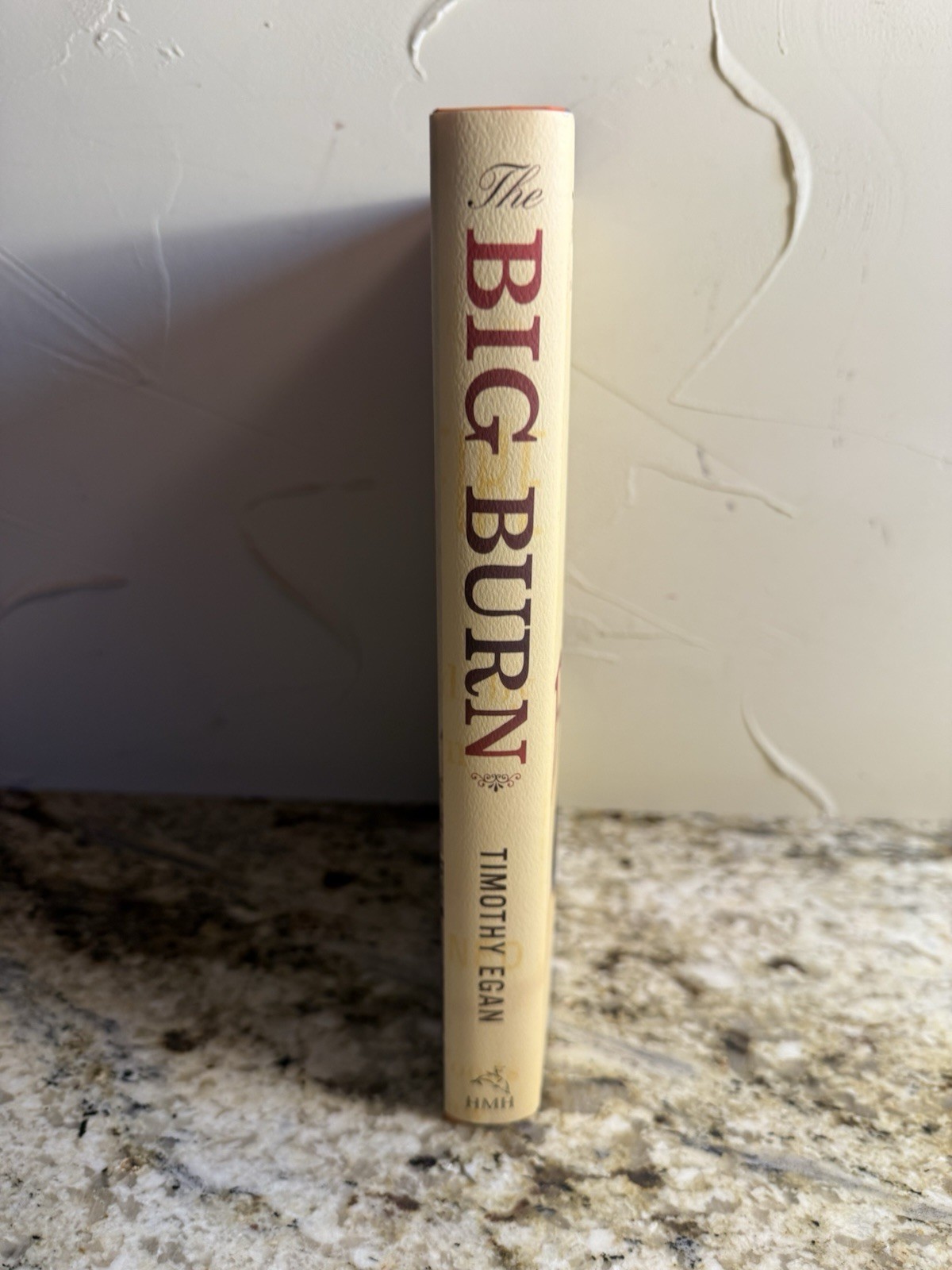 The Big Burn: Teddy Roosevelt and the Fire that Saved America