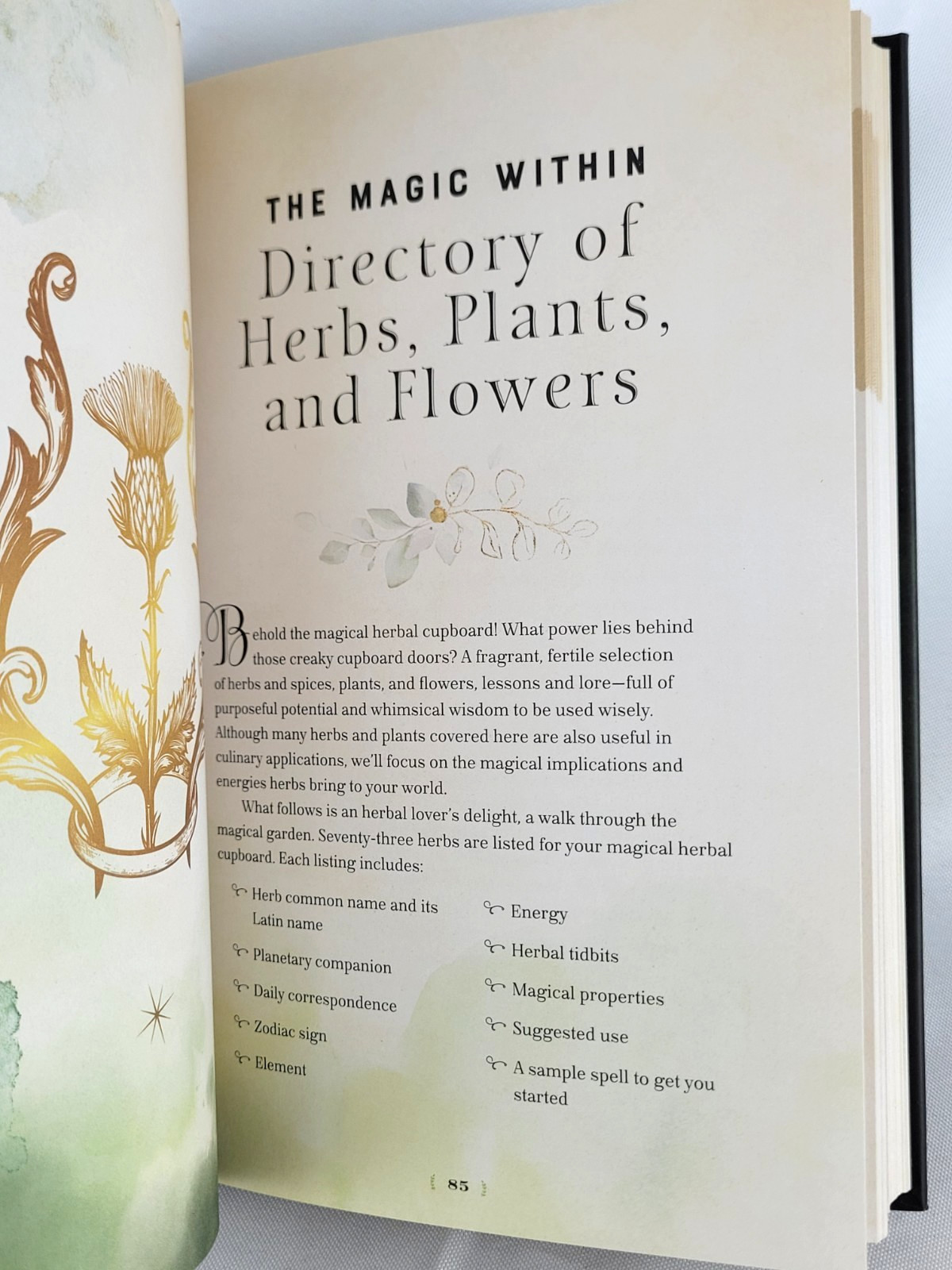 HERBAL MAGIC Natural Spells Charms Potions Aurora Kane Deluxe Illustrated NEW