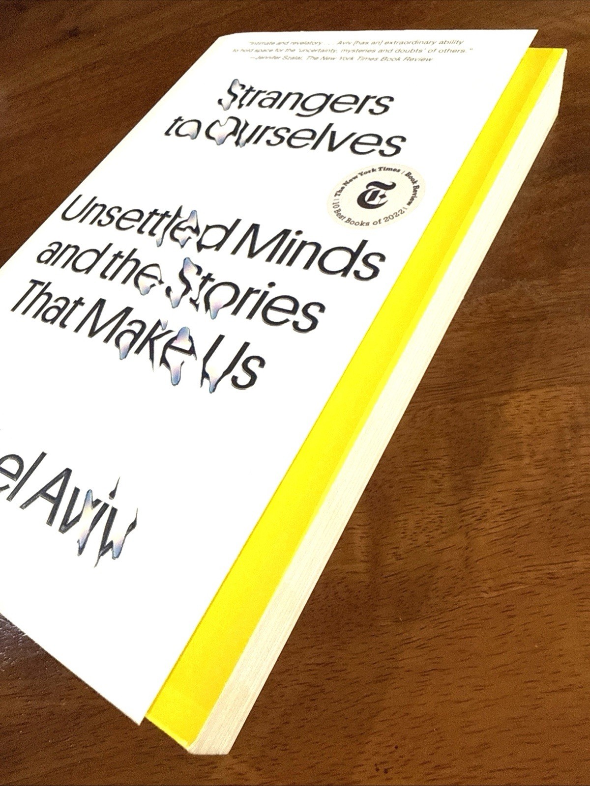 Strangers to Ourselves by Aviv, Rachel