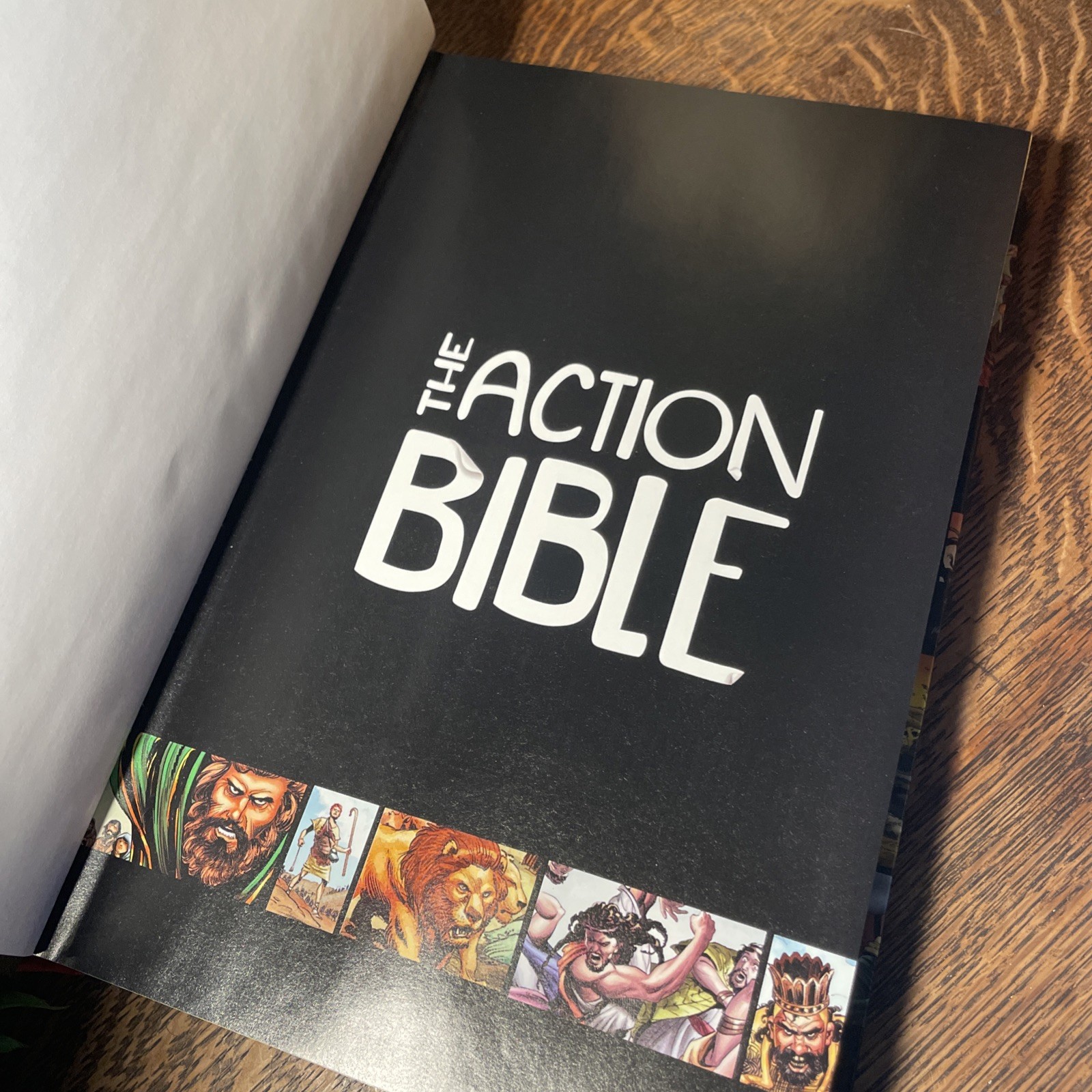 Action Bible : God’s Redemptive Story by Doug Mauss (2010, Hardcover)