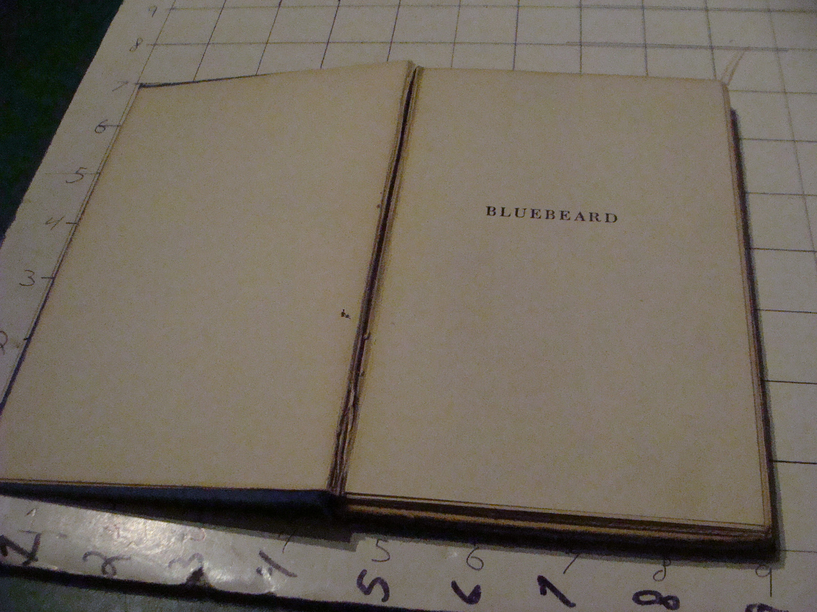 Orig. Vintage book: BLUEBEARD Musical by Kate Douglas Wiggin, 1914, 58 pages