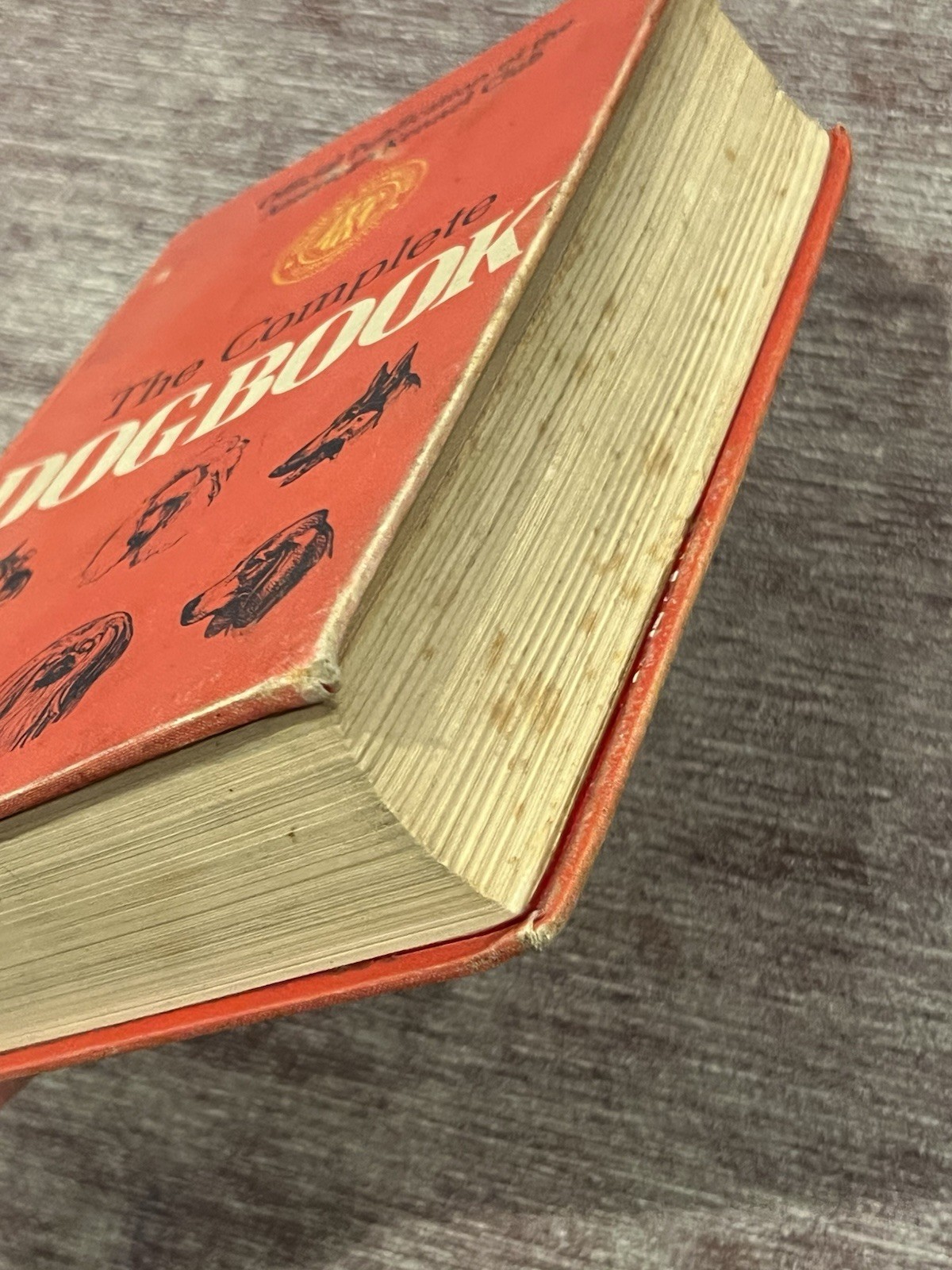 Akc The Complete Dog Book 1975 Edition Hardcover￼672 Pages 142 Photos Acceptable