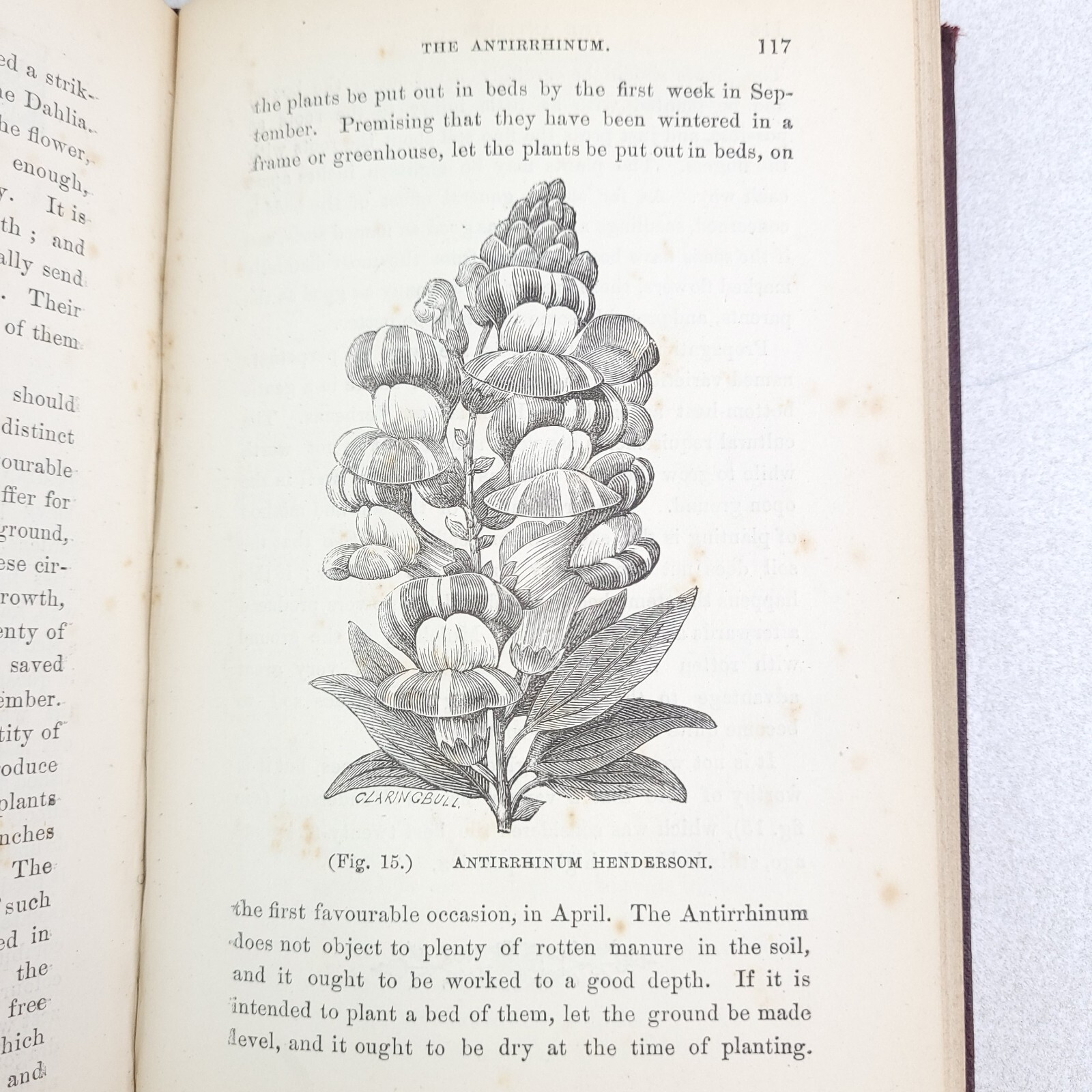 Hardy Florists’ Flowers: Their Cultivation & Management, James Douglas 1880 HC