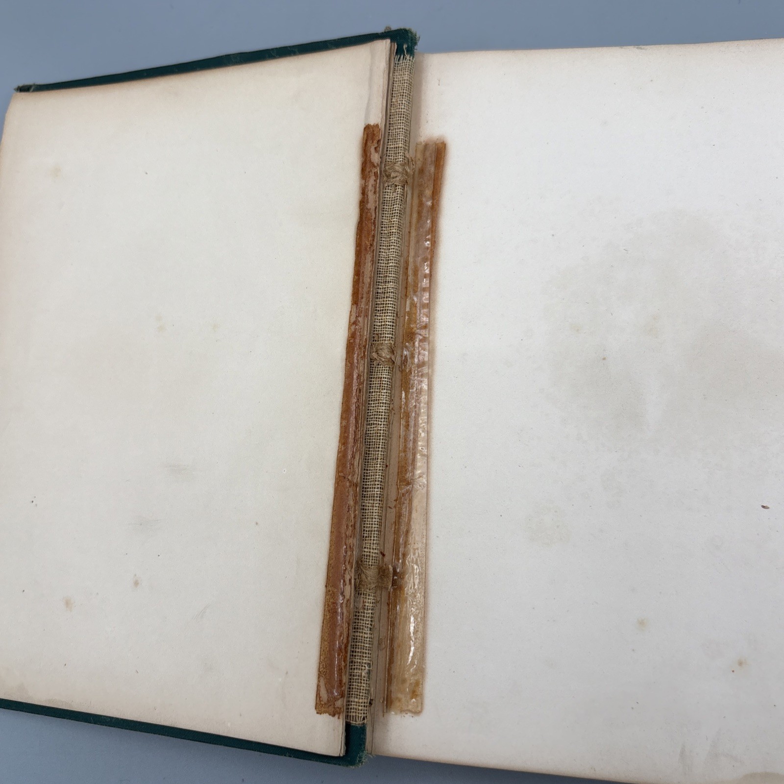 Bryant’s Poetical Works 1878 William Cullen Gilt New York Appleton HC Green
