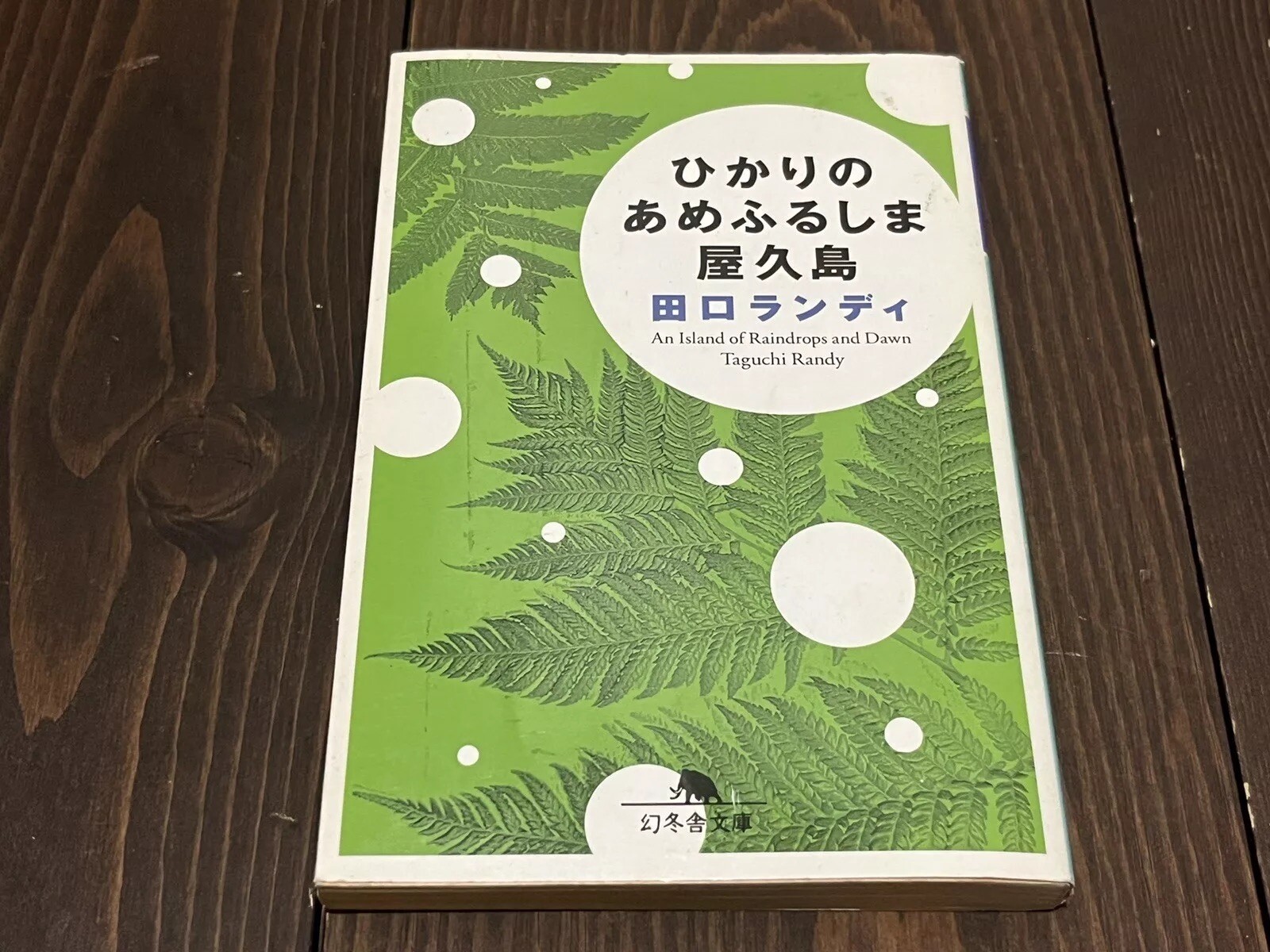 Randy Taguchi Hikari no Amefurushima Yakushima JAPANESE PAPERBACK 1ST EDITION