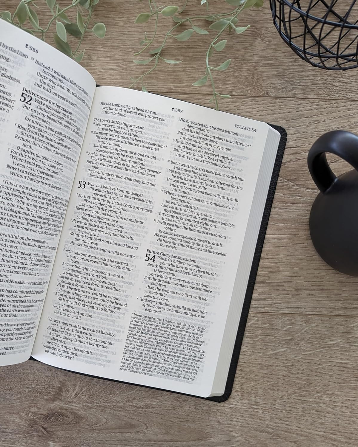 NLT Large Print Premium Value Thinline Bible, Filament Enabled (Leatherlike, Bla
