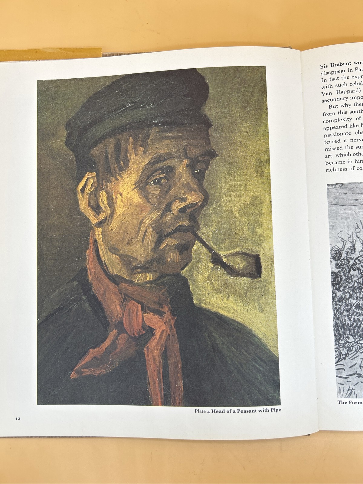 Van Gogh Vincent A.M. Hammacher Book Hardcover Art Biography. Painter. Drawing.