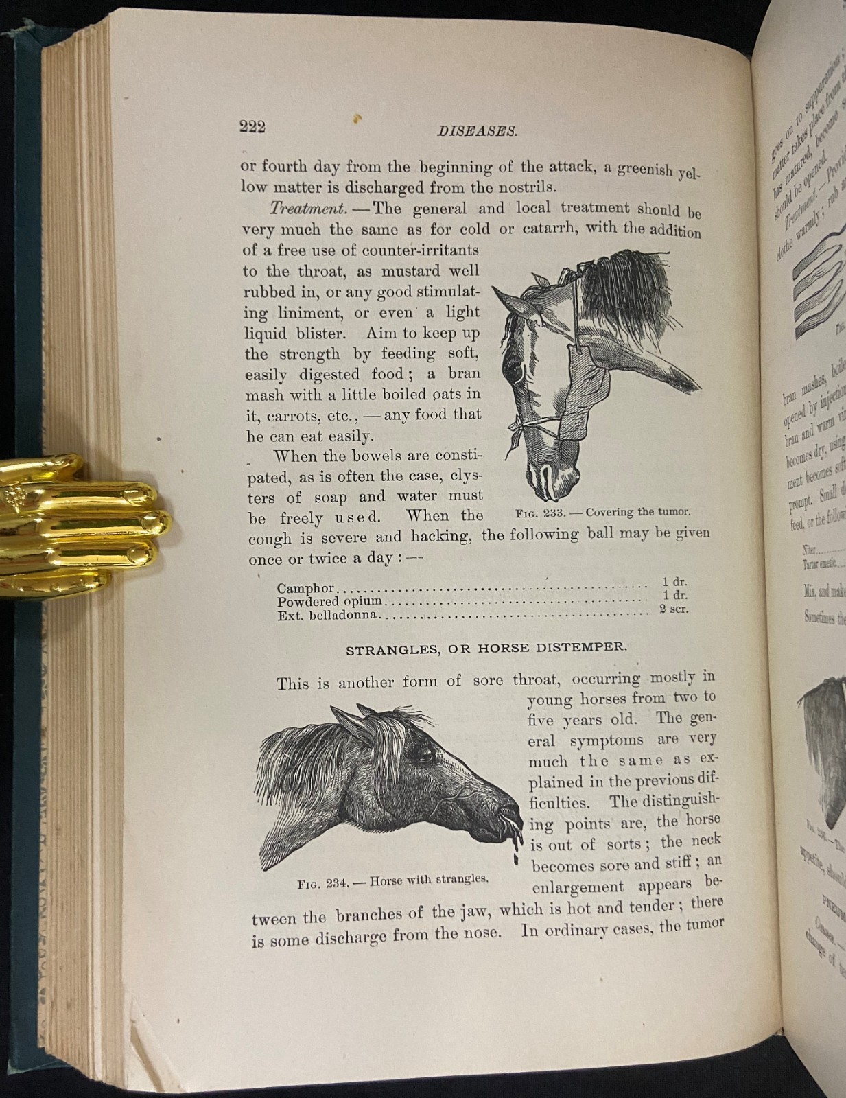 1898 THE FARMER’S ENCYCLOPEDIA Equestrian & Agriculture MAGNER Antique Farming