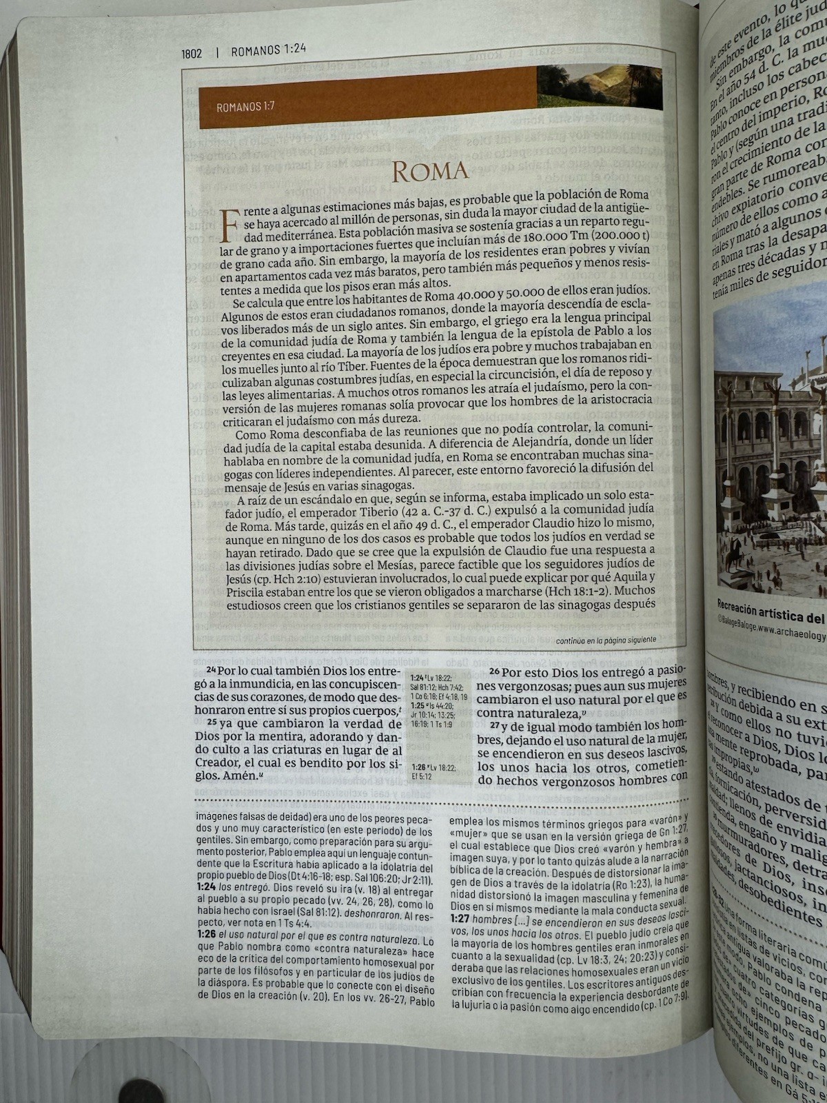 RVR, Biblia de Estudio Trasfondo Cultural, Leathersoft, Rojo Vino, Interior a…