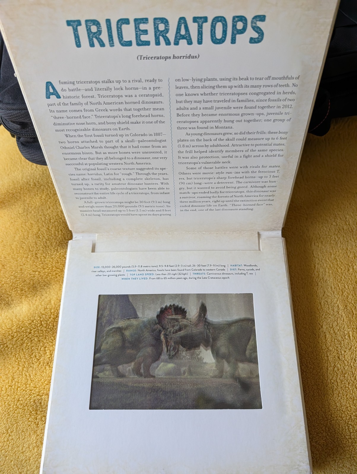 Dinosaur : A Photicular Book by Kathy Wollard & Dan Kainen education NF Science