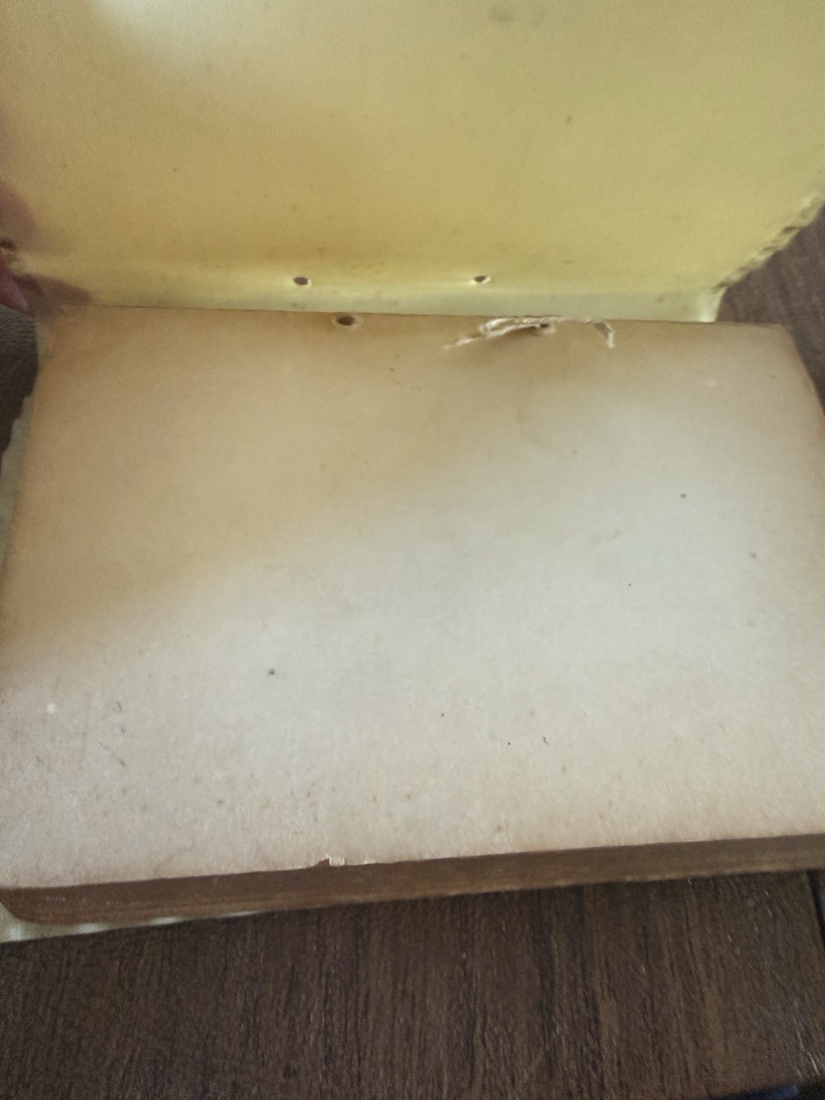 Vellum Cover Gold Leaf Antique Evangeline Longfellow Poem Book Rare Find! 1886