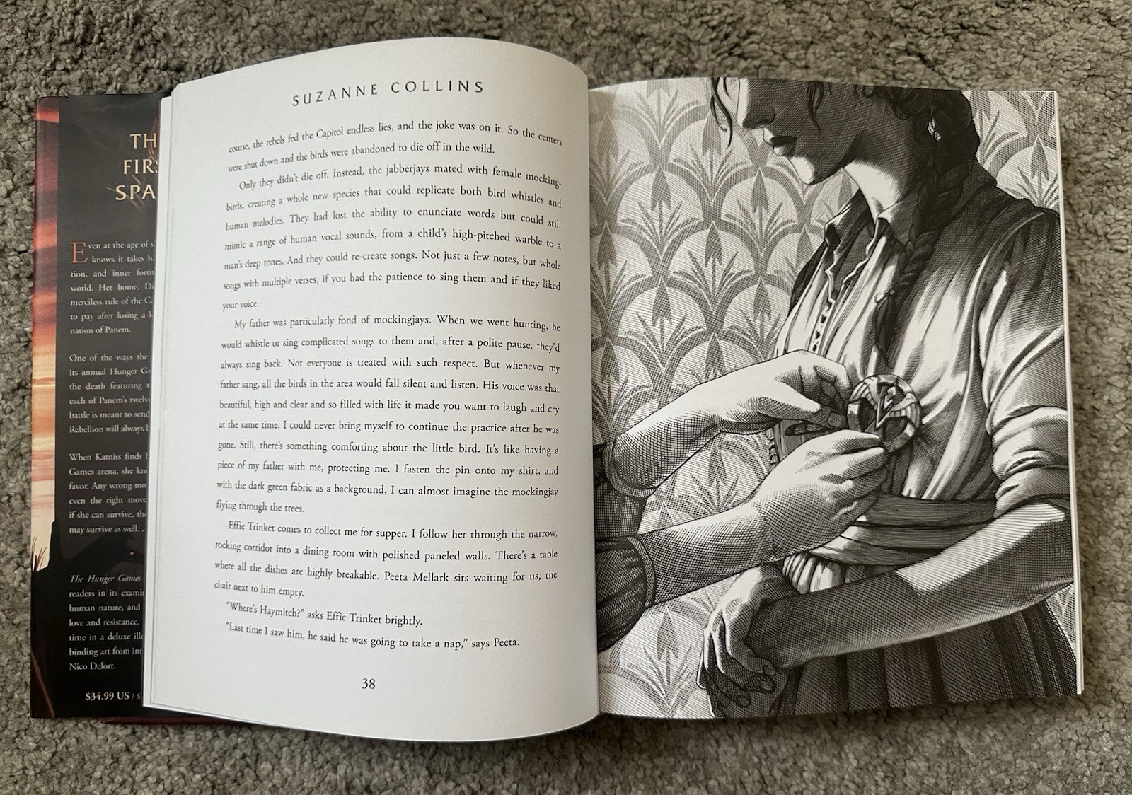 Suzanne Collins The Hunger Games Illustrated Edition Hardcover Nico Delort Art