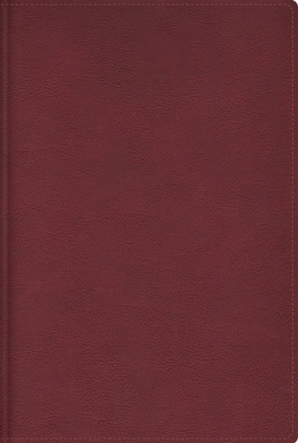 Rvr, Biblia de Estudio Trasfondo Cultural (El Contexto Lo Cambia Todo), Leathers