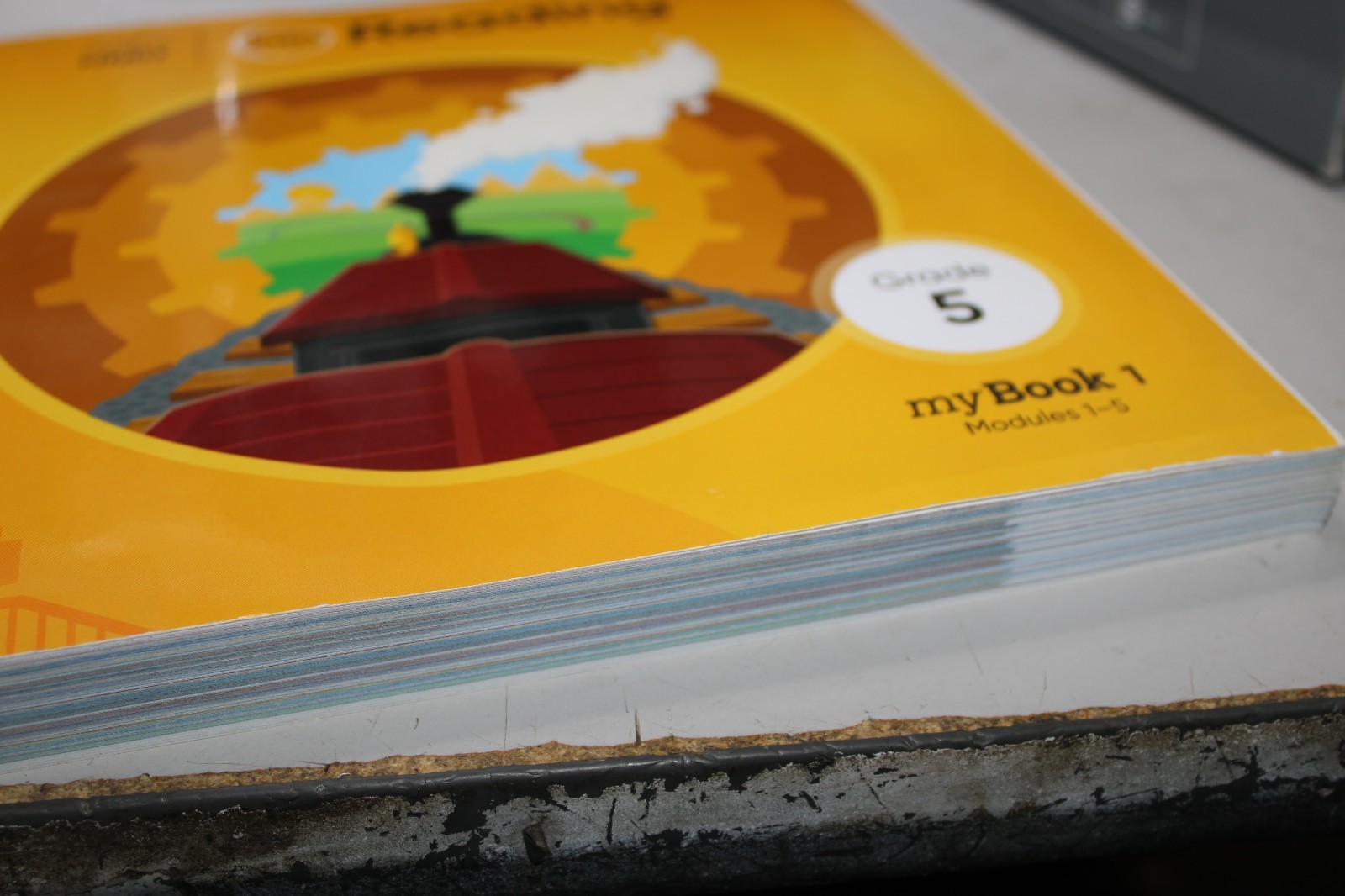 Student Mybook Grade 5 (Into Reading, myBook 1)