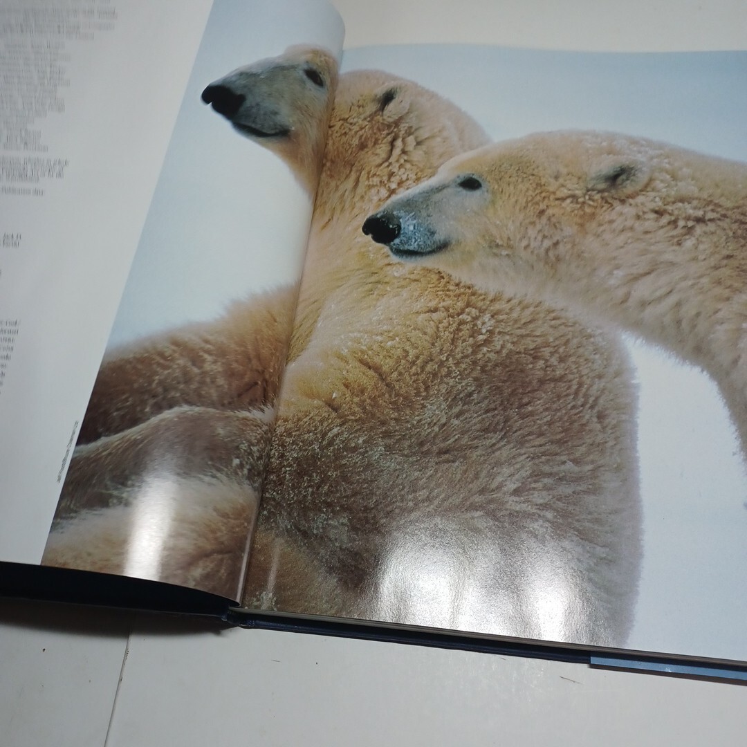 Polar Regions The Illustrated Library Of The Earth