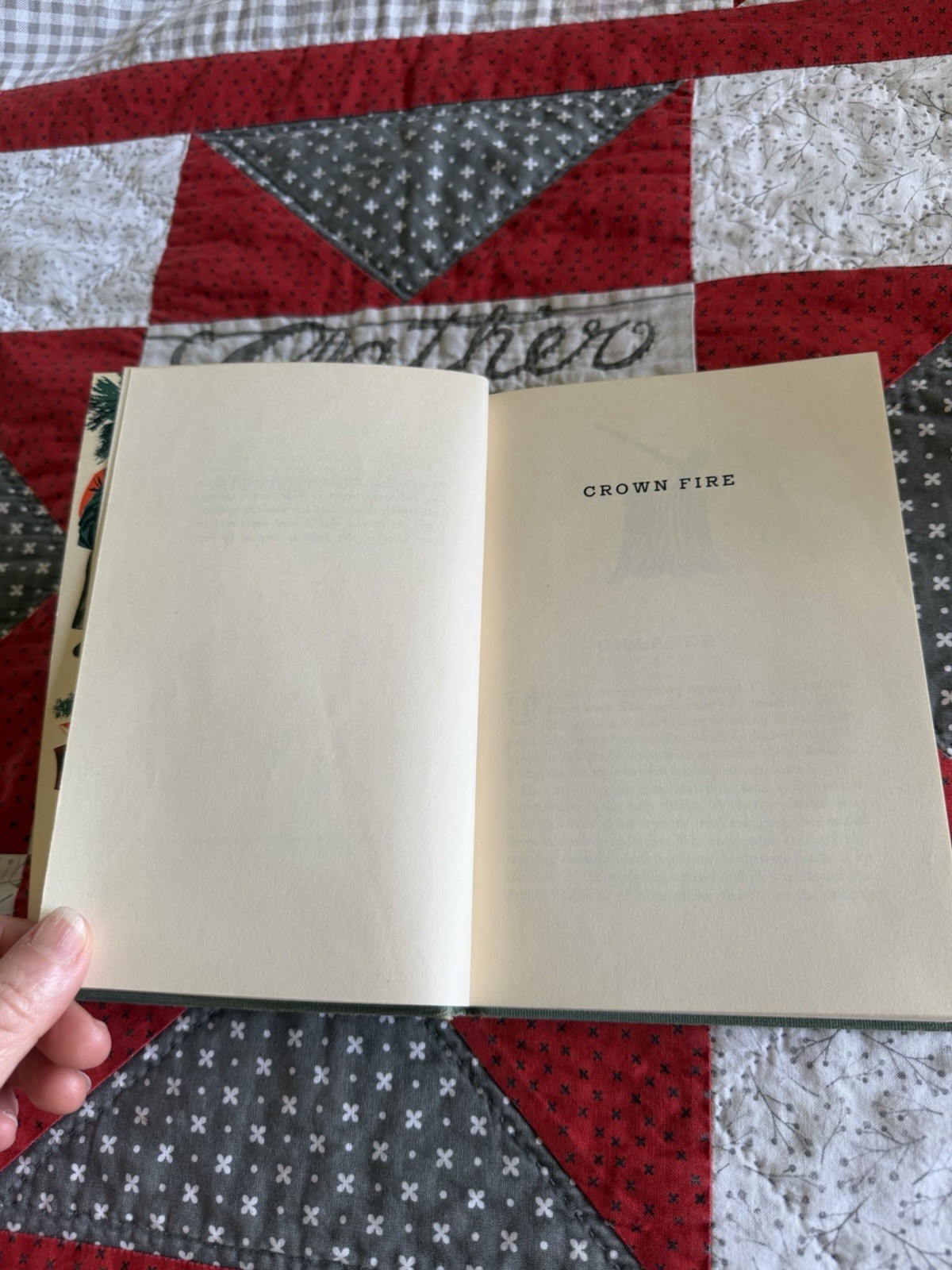 Crown Fire, Eloise Jarvis McGraw, 1951 Hardcover Vintage Children’s Book