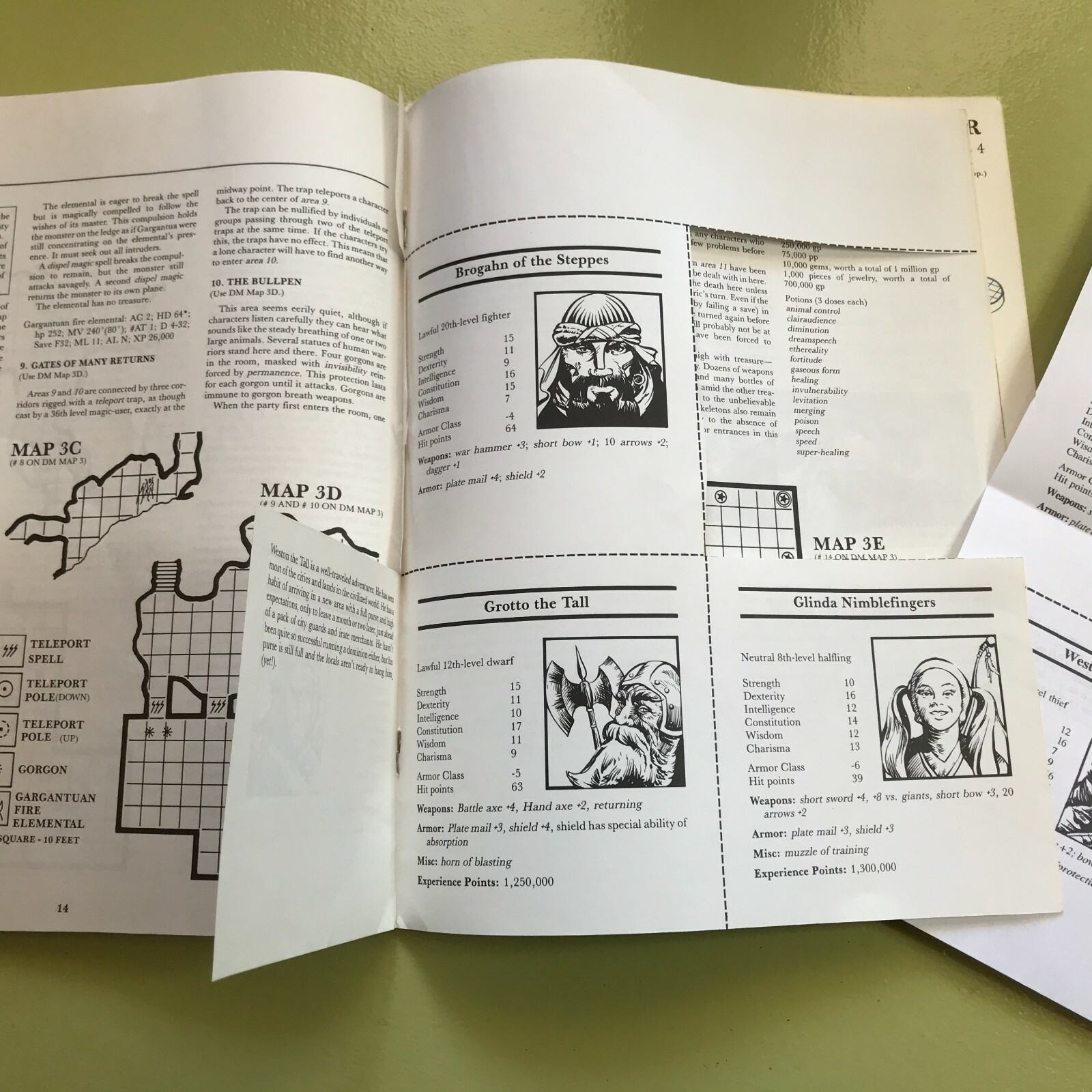 CM3 Sabre River Module Dungeons & Dragons AD&D D&D 9119 1984 niles & nesmith !