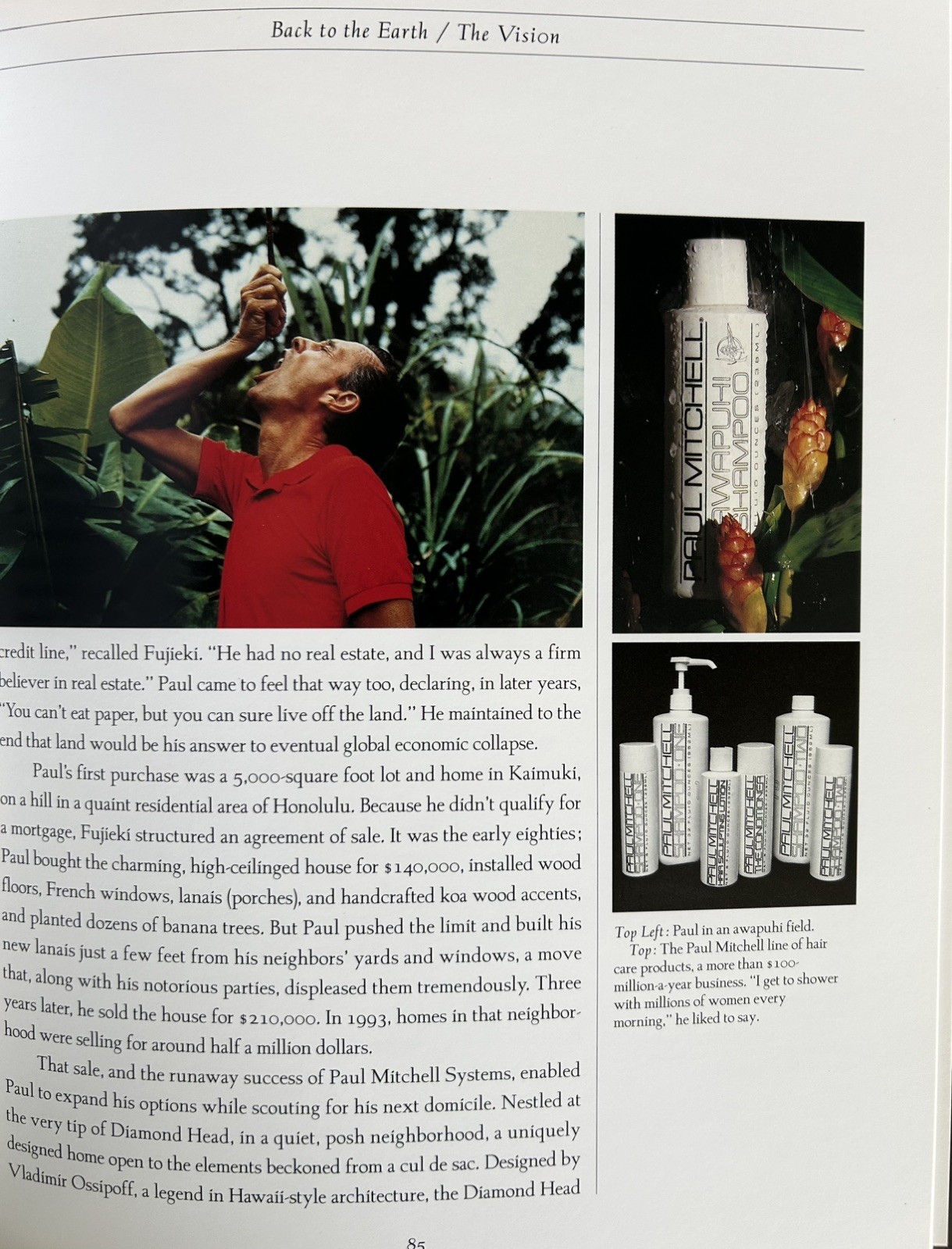 Paul Mitchell: Who Was He? Man Work Vision by Jocelyn Fujii