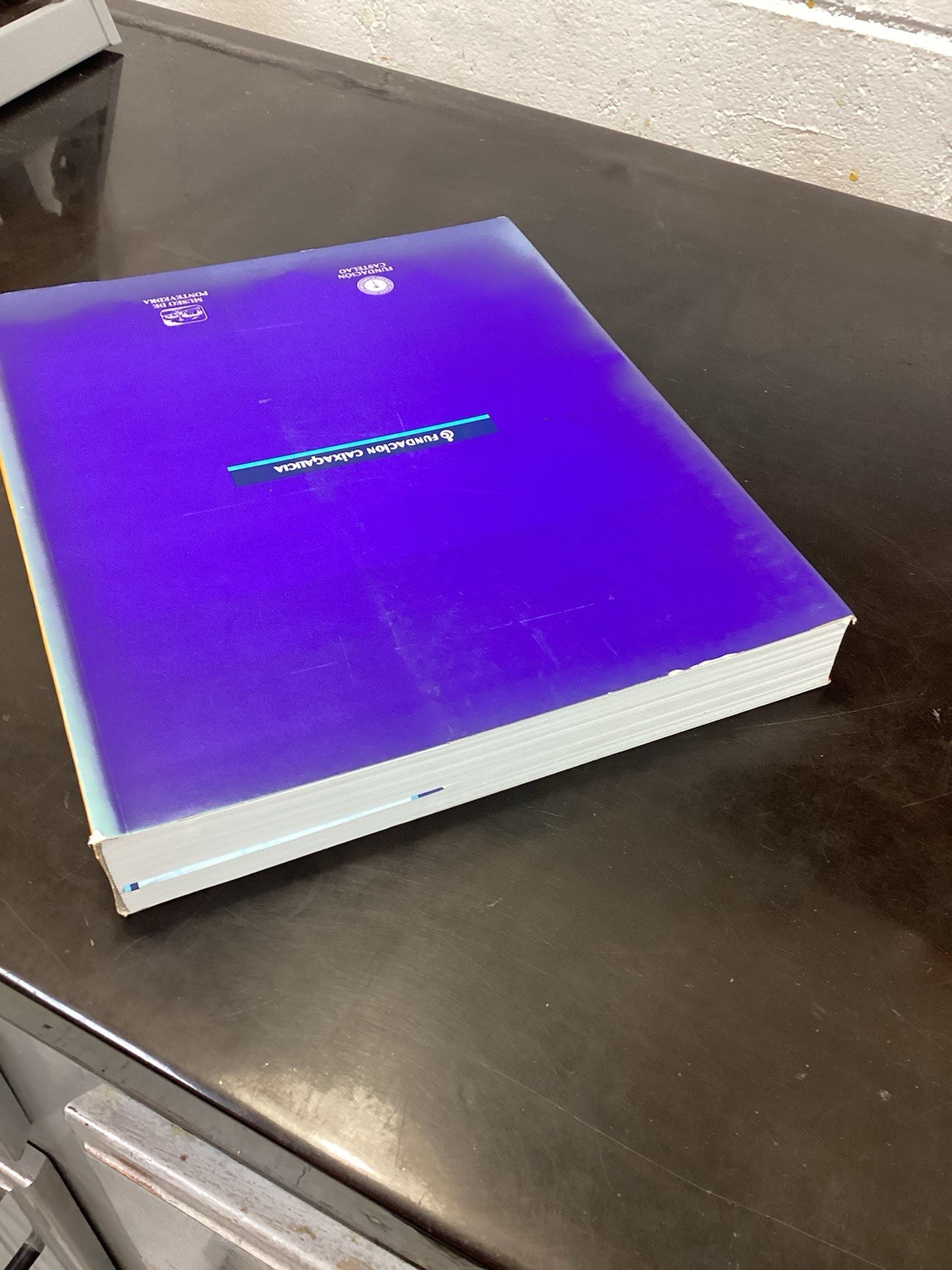 CASTELAO/50 ANIVERSARIO/G COND PB/ART BOOK FULL COLOR