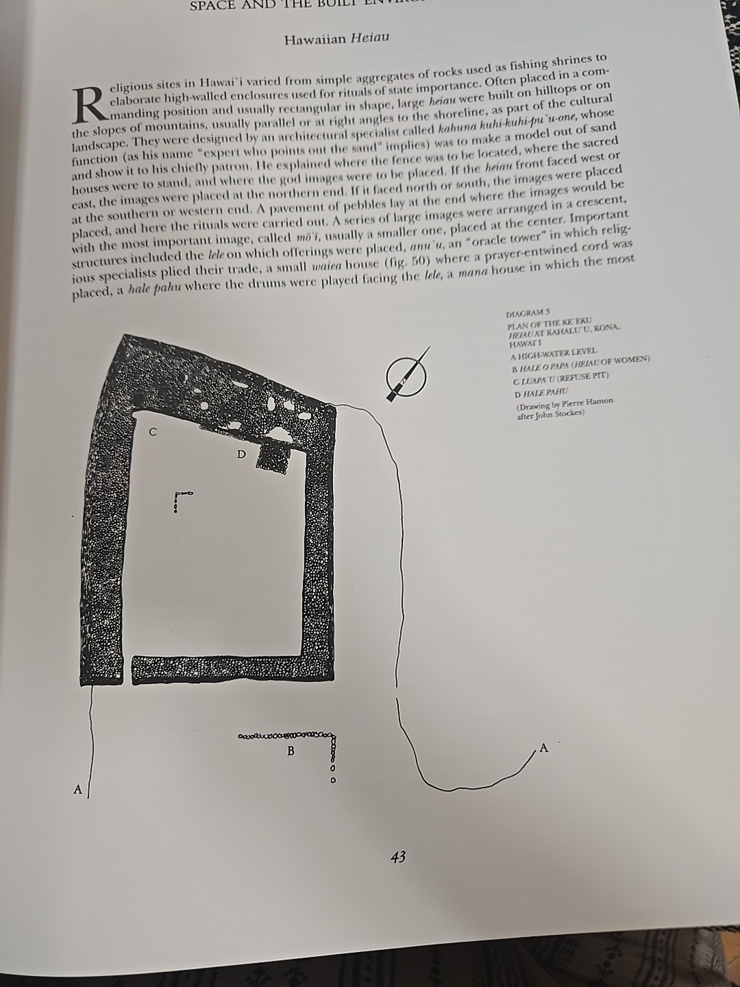 Oceanic Art: Papua New Guinea, Melanesia, Polynesia: Kaufmann, Kaeppler, Newton